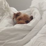 Penny Lane Robles - @pennythepup3 - Instagram