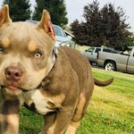 @penny.roots - Instagram