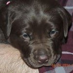 Penny Rosenberg - @mientowa1 - Instagram