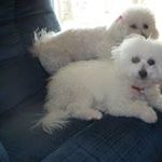Penny Rosenberger - @penny.rosenberger.5 - Instagram