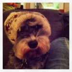 pennyrosenberg - @pennyrosenberg - Instagram