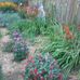 Penny Royer - Facebook