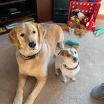 Penny Royer - @paroyer01 - Instagram
