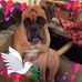 Penny Ryan - Facebook