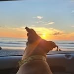 Penny Ryan - @pennyryan201 - Instagram
