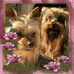 Penny Ryan - Facebook