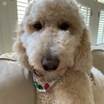 Penny Ryan - @penny_for_your_thoughts18 - Instagram