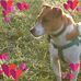 Penny Salisbury - Facebook