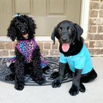 Mr. and Mrs. Penny Sapp - @penny_pierce_sapp - Instagram