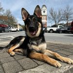 Penny Sapp - @sapppenny - Instagram