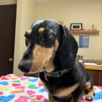 Penny Sapp - @penelope.sapp98366 - Instagram