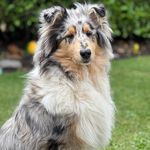 Penny Beard - @penny.saunders.16 - Instagram