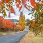 Penny Saunders - @penny.saunders.338658 - Instagram