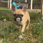 Penny Lane Saylor-King - @misspennylane2025 - Instagram