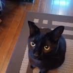 Penny Saylor - Facebook
