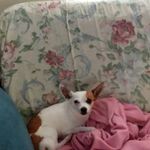 penny saylor - @saylor.penny - Instagram
