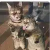 livingthelife1111 - @pennyschmidt111 - TikTok