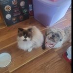 Penny Higbie (Schmidt) - @pjschmidt67 - Instagram