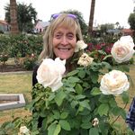 Penny Navis-Schmidt - @pennyns52 - Instagram