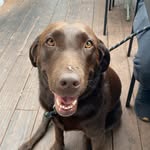 Penny Self - @pennysmillons - Instagram