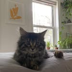 Penny Lane - @penny_lane_serrano - Instagram