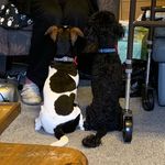 Penny&Cloudy&Roberto Sexton - @pennycloudysexton - Instagram