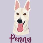 Penny The German Shepard - @pennysadventuressatx - Instagram