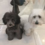 Penny Simons - @penny.simons.526 - Instagram