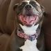 Penny Sisson Smith - Facebook