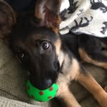 @penny_jane_sledge - Instagram