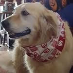 Penny Sledge - @penelopjs - Instagram