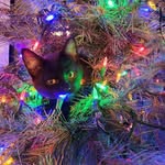 Penny Diehl Slone - @penny.slone3263 - Instagram