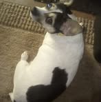 Penny Slone - Facebook