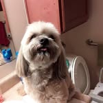 Penny Slone Schrock - @pennyschrock - Instagram
