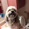 pennysloneschrock - @penny.slone.schro - TikTok