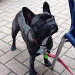 Penny Smart - @pennysmart1966 - Instagram