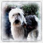 Penny Snyder - @pjpsulover - Instagram