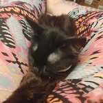 Penny Snyder - @penny.singley - Instagram