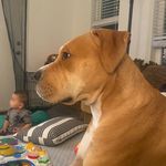 Penny Snyder - @bighead_penny - Instagram