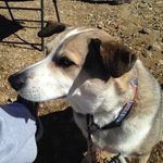 Penny Snyder - @css2550 - Instagram