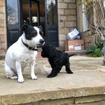 Frank and Penny Spellman - @franknpennyspell - Instagram