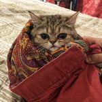Sassy Penny - @penny.sperry - Instagram