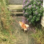 Penny Spinks - @tbrobbob - Instagram