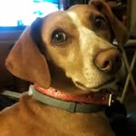Penny Stacy - @plstacy29 - Instagram