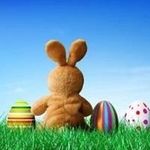 Penny Stacy - @pds0316in - Instagram