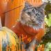 Penny Staley - Facebook