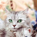 Penny Stambaugh - Facebook