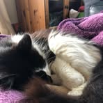 Penny Stanfield - Facebook