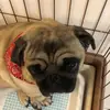 Penny.Stanton - @hicklowatd0 - TikTok