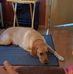 Penny Starkey - Facebook